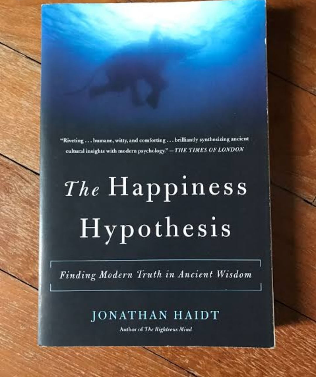happiness hypothesis book pdf